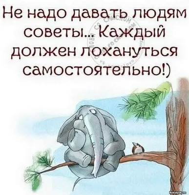 Прикольные картинки про жизнь с надписями