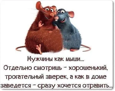 Веселые кинопремьеры и спектакли с глубоким смыслом. АФИША DK.RU | Деловой  квартал DK.RU — новости Челябинска