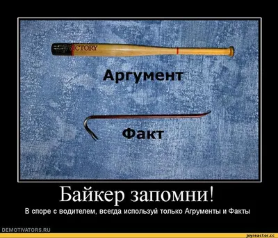 Картинки, Смысл жизни: подборки картинок, поздравительные картинки, смешные  картинки — Горячее, страница 2 | Пикабу