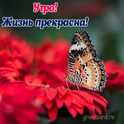 Девять принципов жизни со смыслом: Менталитет крещендо Альпина. Книги  151298081 купить за 439 ₽ в интернет-магазине Wildberries