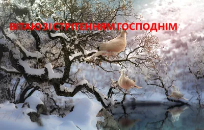 Картинка со Сретением Господним — скачать бесплатно