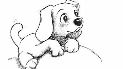 Рисунки для срисовки карандашом собаки — Стихи, картинки и любовь