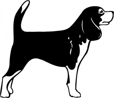 100 легких рисунков собак для срисовки