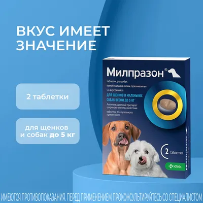 Глистогон для собак и щенков — ГК \"ФАВОРИТ\"