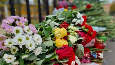 На Ямале выразили соболезнования матери погибшего военкора РИА Новости |  Север-Пресс
