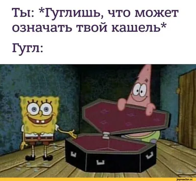 Spongebob (SpongeBob SquarePants) / смешные картинки и другие приколы:  комиксы, гиф анимация, видео, лучший интеллектуальный юмор.