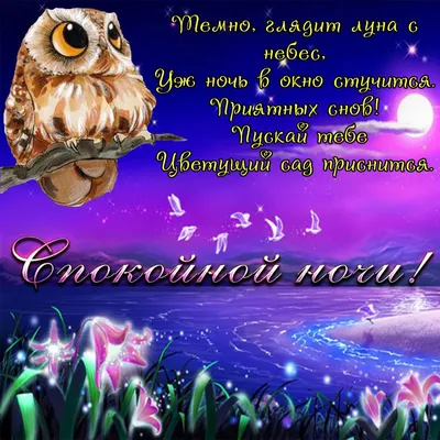 Спокойной ночи, Северодвинск 😌✨ | Северодвинск life | ВКонтакте