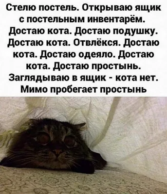Спокойной ночи... | Пикабу