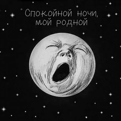 Доброй Ночи С Юмором Прикольные Картинки – Telegraph