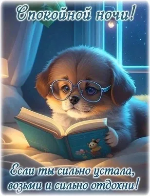Спокойной ночи