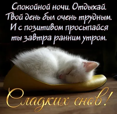 Спокойной ночи 😴 #юмор #юморжизни #прикол #смех #анекдот | Instagram