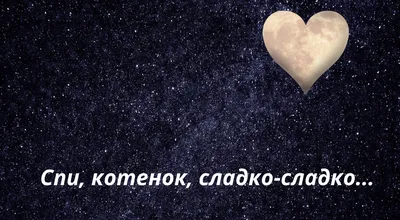 Смешные картинки с надписями \"Спокойной ночи\" (43 ФОТО)