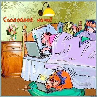 Спокойной ночи!