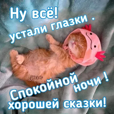 Прикольные картинки \"Спокойной ночи!\" (186 шт.)
