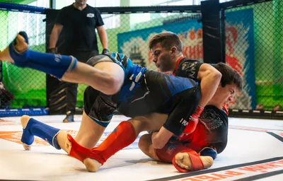 Трое азербайджанских спортсменов вышли в полуфинал чемпионата Европы по  греко-римской борьбе - АЗЕРТАДЖ