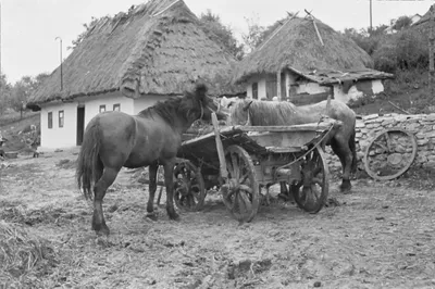 Старинная картина \"Голландская жанровая сцена\" - Европейская живопись  купить в Москве | rus-gal.ru