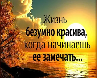 Прикольные ЖЕНСКИЕ СТАТУСЫ со смыслом в картинках - Короткие интересные  КАРТИНКИ о ЖИЗНИ, СЧАСТЬЕ для девушки | Вдохновляющие цитаты, Позитивные  цитаты, Смешно