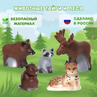 Мы с вами – часть древних лесов, часть северной Русской Тайги! – Павел  Пашков