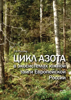 Приполярный Урал: что покажет не исхоженная туристами горная тайга -  Ведомости.Город