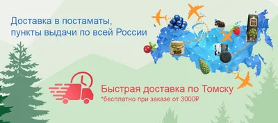 Тайга отчитается за парниковый эффект: в России будут сдавать участки леса  под «углеродный кредит» - «Экология России»