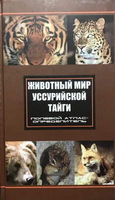 Тайга.Природная зона России. 4 класс