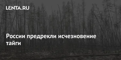 Лесные зоны России • География, Природно-хозяйственные зоны России •  Фоксфорд Учебник