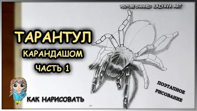 Интерактивный паук тарантула на управлении Terra by Battat Spider Tarantula  (ID#1709194402), цена: 800 ₴, купить на Prom.ua