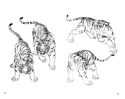 Рисунок тигренка карандашом - 50 фото