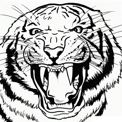 Картинки тигра для срисовки (20 фото) – Роздрукувати Безкоштовно