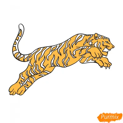 Тигр для срисовки легко - 57 фото