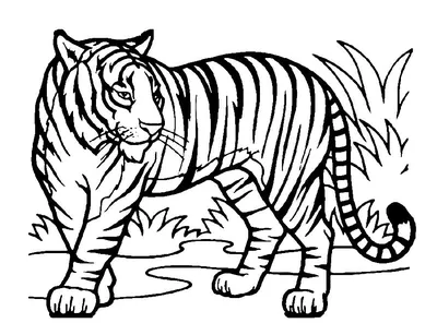 Рисунок на тему Амурский тигр - 41 фото