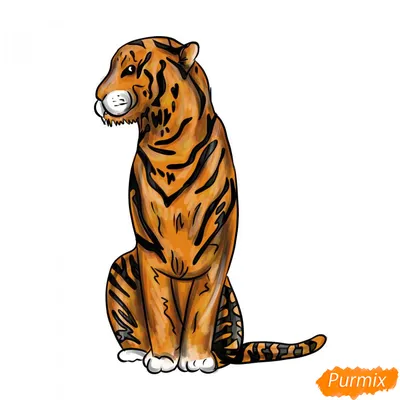 Рисунок тигр эскиз (50 фото) » рисунки для срисовки на Газ-квас.ком