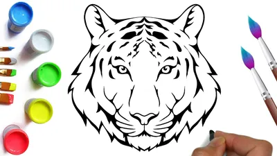 Амурский тигр рисунок карандашом для срисовки - 49 фото