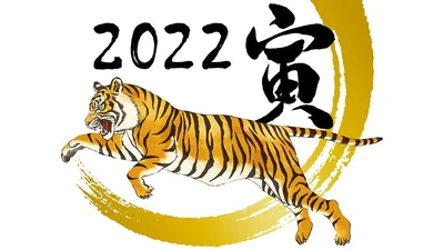 Гороскоп для Тигра на 2024 год: что ждет знак в год Дракона