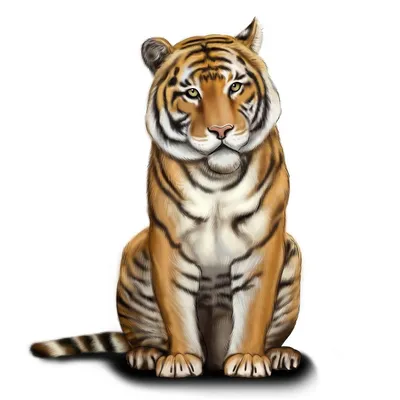 Портрет в лесу тигра стоковое изображение. изображение насчитывающей  красивейшее - 174774821