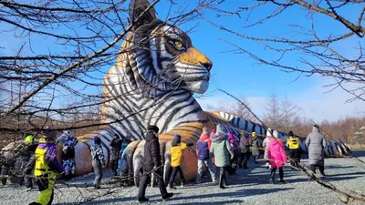 Портрет Тигра — стоковые фотографии и другие картинки Тигр - Тигр, Голова  животного, Рычание - iStock