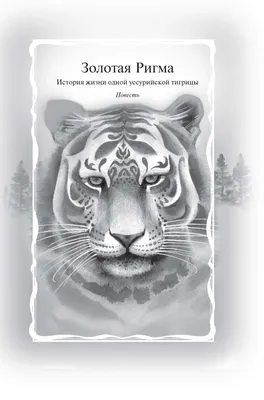 Самая знаменитая в мире амурская тигрица стала мамой на «Земле леопарда»