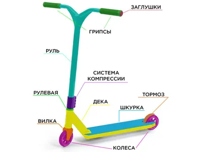 Трюковой самокат «TECH TEAM VOODOO» купить в Воронеже | интернет-магазин  veloZONA36