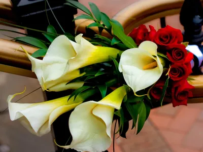 Цветы для мужчины: дарить или нет читайте на сайте Premium-flowers