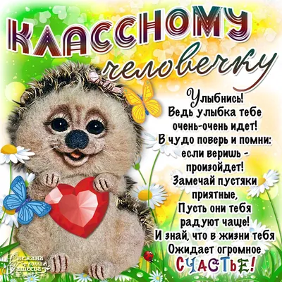 Ты классный парень - 📝 Афоризмо.ru