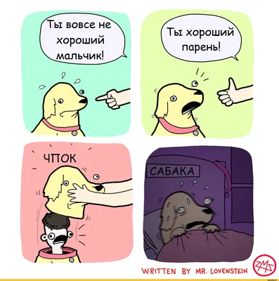 Когда определение \"вор или не вор\" зависит от того, насколько ты классный  парень, все становятся классными | Наталия Гуревич | Дзен