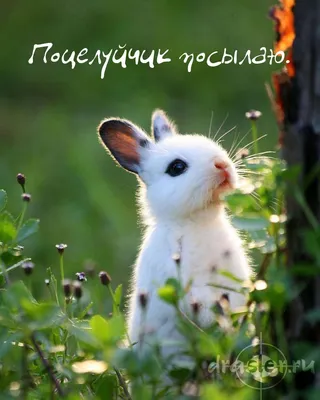 Слушать Ты Самый Лучший Из Мужчин
