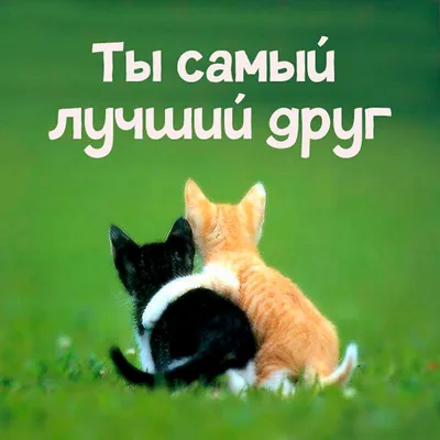 Мужская измена. Когда любовницы безопасны для семьи? Часть II | Пикабу