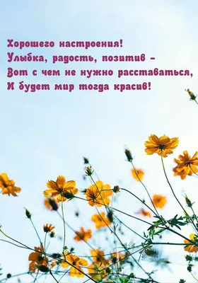 Желаю чудесного, доброго и солнечного дня, сил, бодрости, позитива и  прекрасного настроения! Пусть сегодня удается всё без труда и быстро, а  день принесет много радости, тепла и миллион улыбок окружаю - Лента