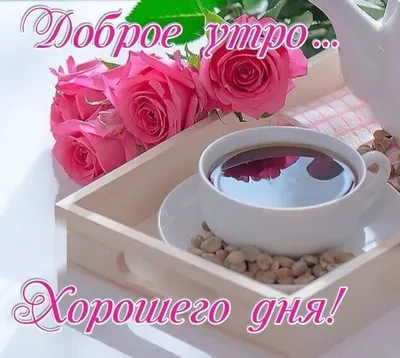 Скачать доброе утро день вечер ночь APK для Android