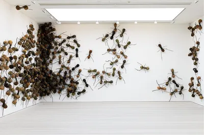 Афиша Воздух: Как полуметровые муравьи захватили галерею Saatchi – Архив