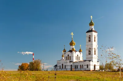 Птица удачи в HD качестве» — создано в Шедевруме