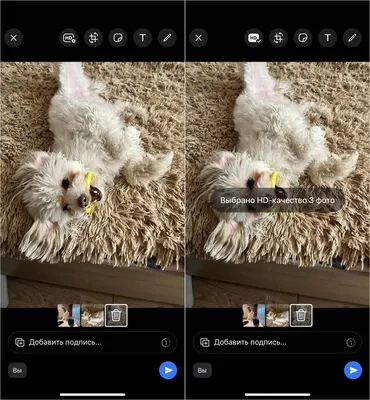 WhatsApp научился отправлять фото в HD-качестве. Как это сделать | РБК Life