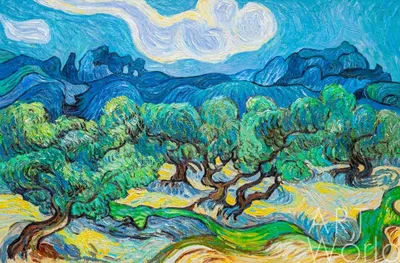 Копия картины Ван Гога \"Оливковые деревья\" (копия Анджея Влодарчика) 60x90  VG230207 купить в Москве