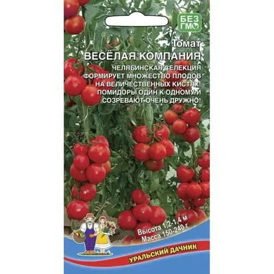 Объявляем декабрьского победителя конкурса «Весёлая компания» |  Петрозаводск говорит | Дзен